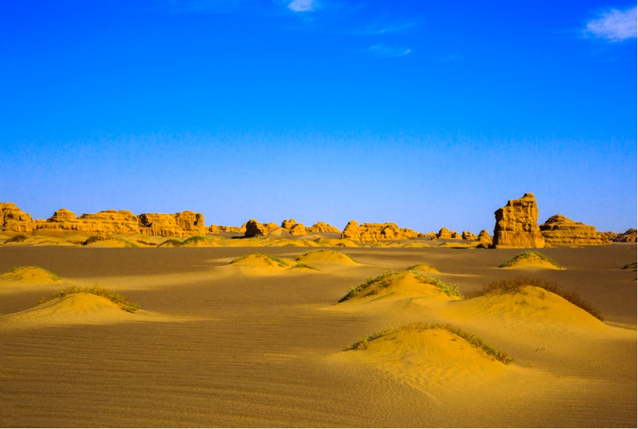 The sand dunes 