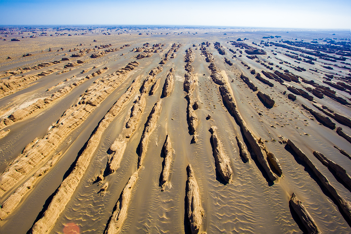 What's Yardang Landform